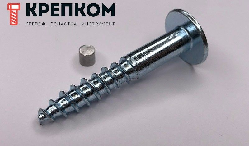 Антивандальный шуруп (саморез) 88110 с внутренним шестигранником и заглушкой от выкручивания