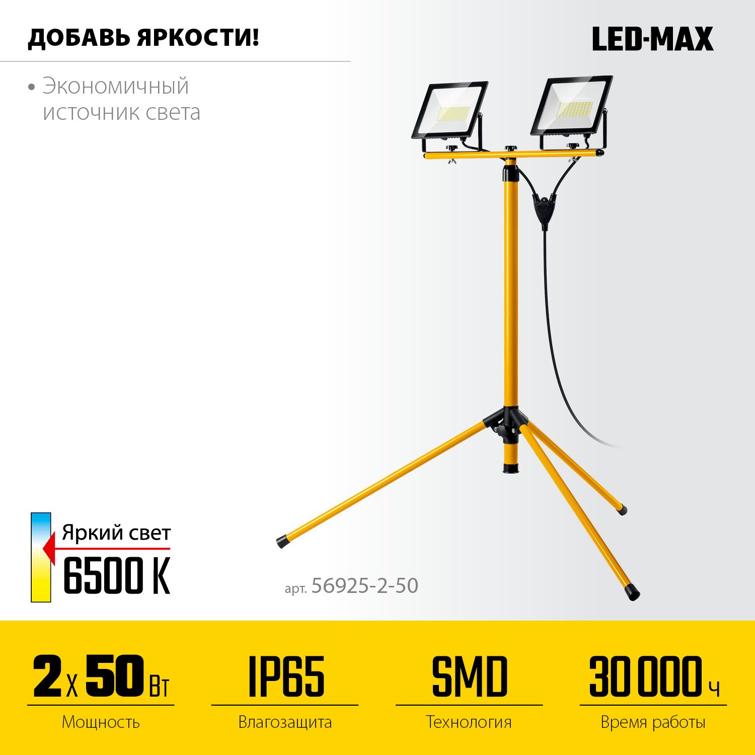 Прожекторы светодиодные 2х50 Вт на штативе Led-Max Stayer 56925-2-50 - фото