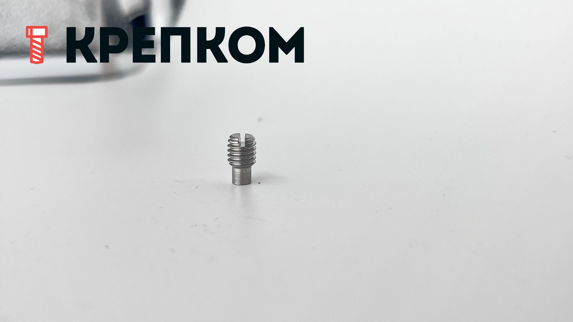 Винт установочный М12х20 DIN 417 с цапфой, нержавеющая сталь А2 - фото