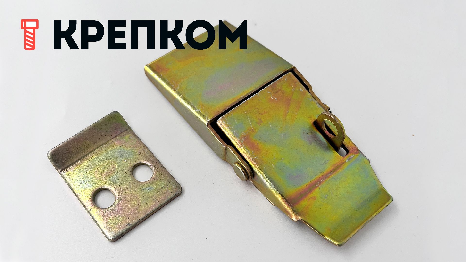 Изображение товара Замок-защелка накидной оцинкованный 100 мм B239 с проушиной