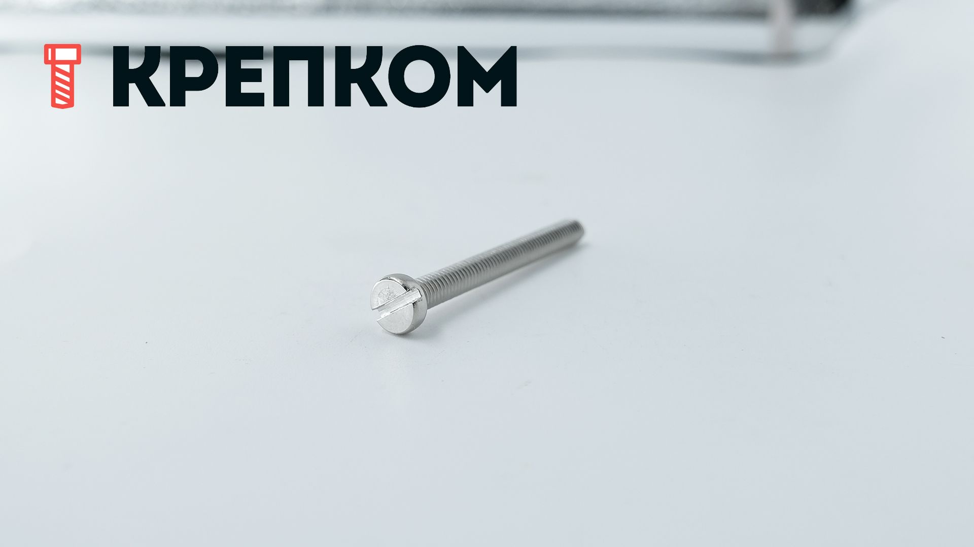 Винт с цилиндрической головкой DIN 84, нержавеющая сталь А4 - фото