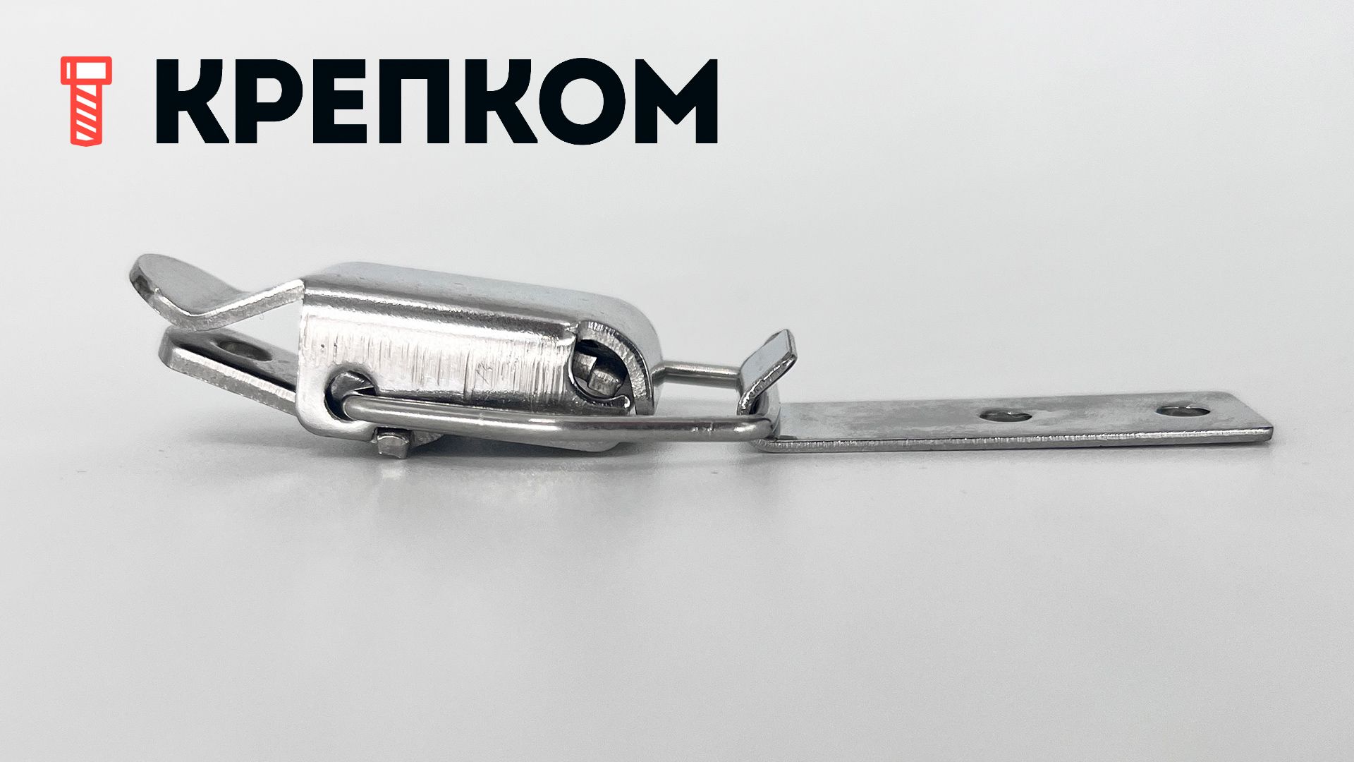 Замок-защелка лягушка L=46 B46C, нержавеющая сталь  - фото