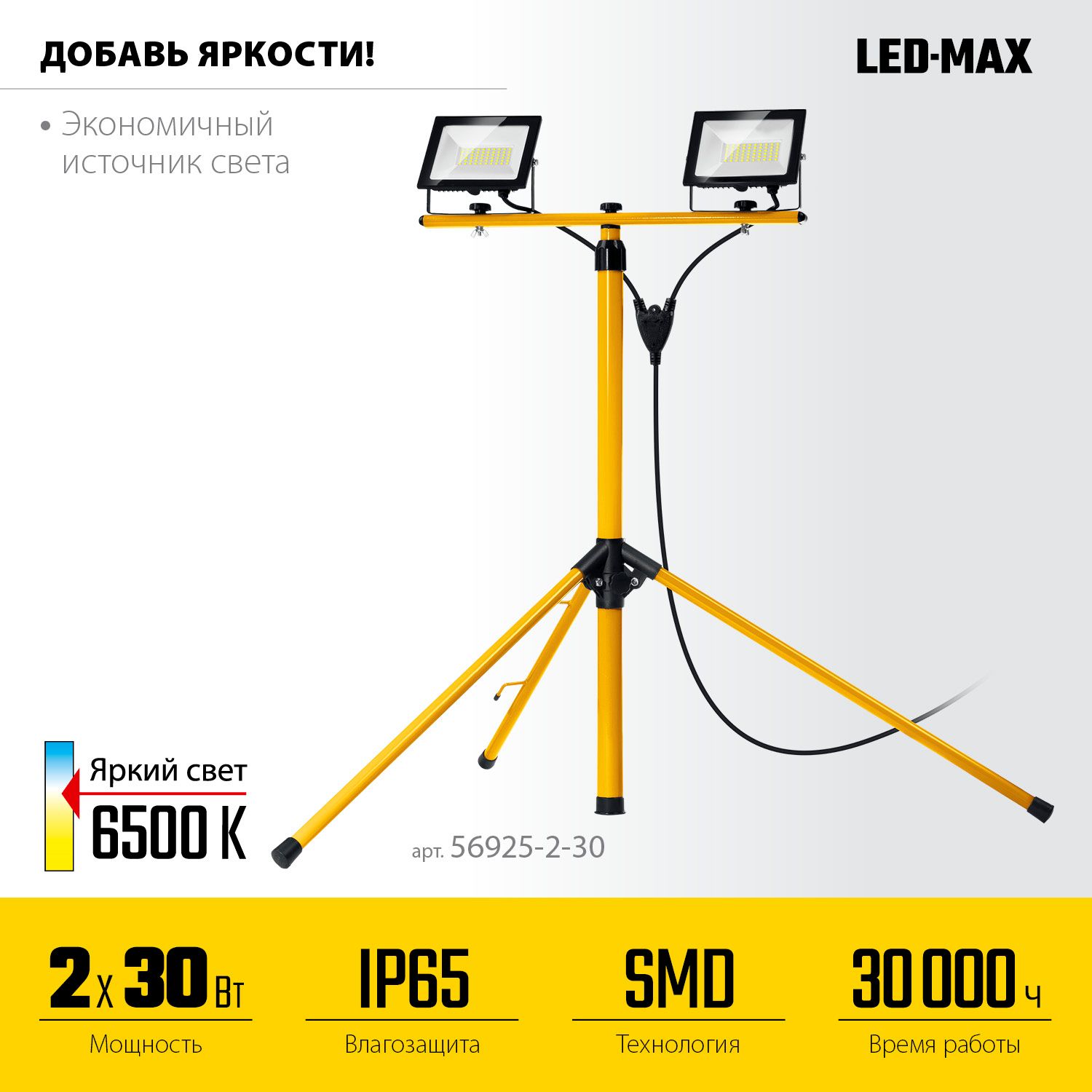 Прожекторы светодиодные 2х30 Вт на штативе Led-Max Stayer 56925-2-30 - фото