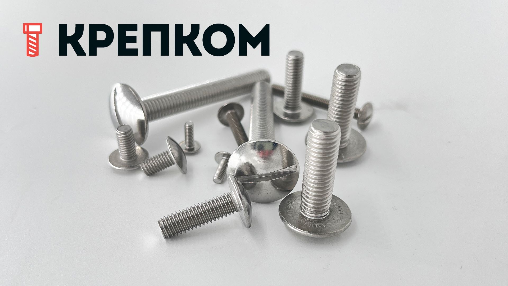 Винт с полукруглой головкой и прямым шлицем NF E 27-128 (art 9056), нержавеющая сталь А2 - фото