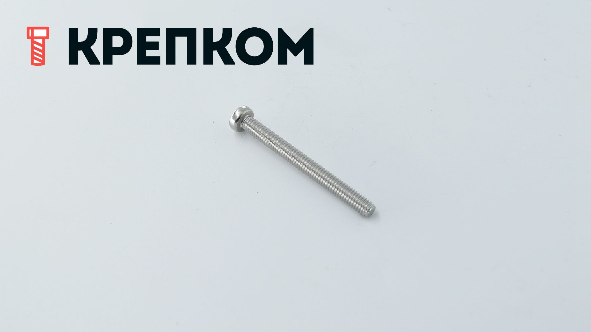 Винт с цилиндрической головкой DIN 84, нержавеющая сталь А4 - фото