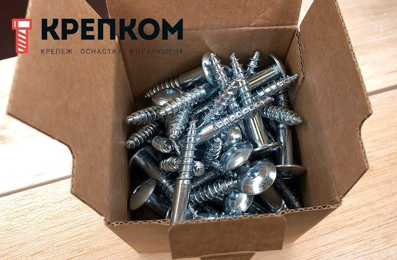 Антивандальные шурупы 88110 с внутренним шестигранником и заглушкой от выкручивания, оцинкованные