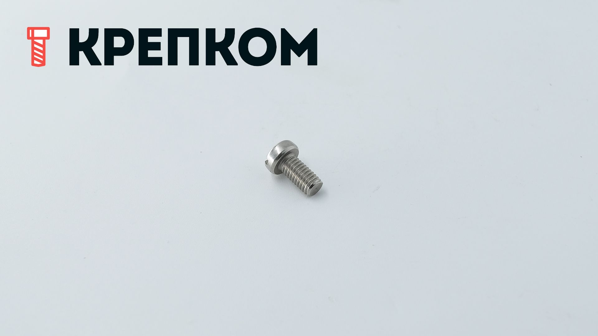 Винт с цилиндрической головкой DIN 84, нержавеющая сталь А4 - фото