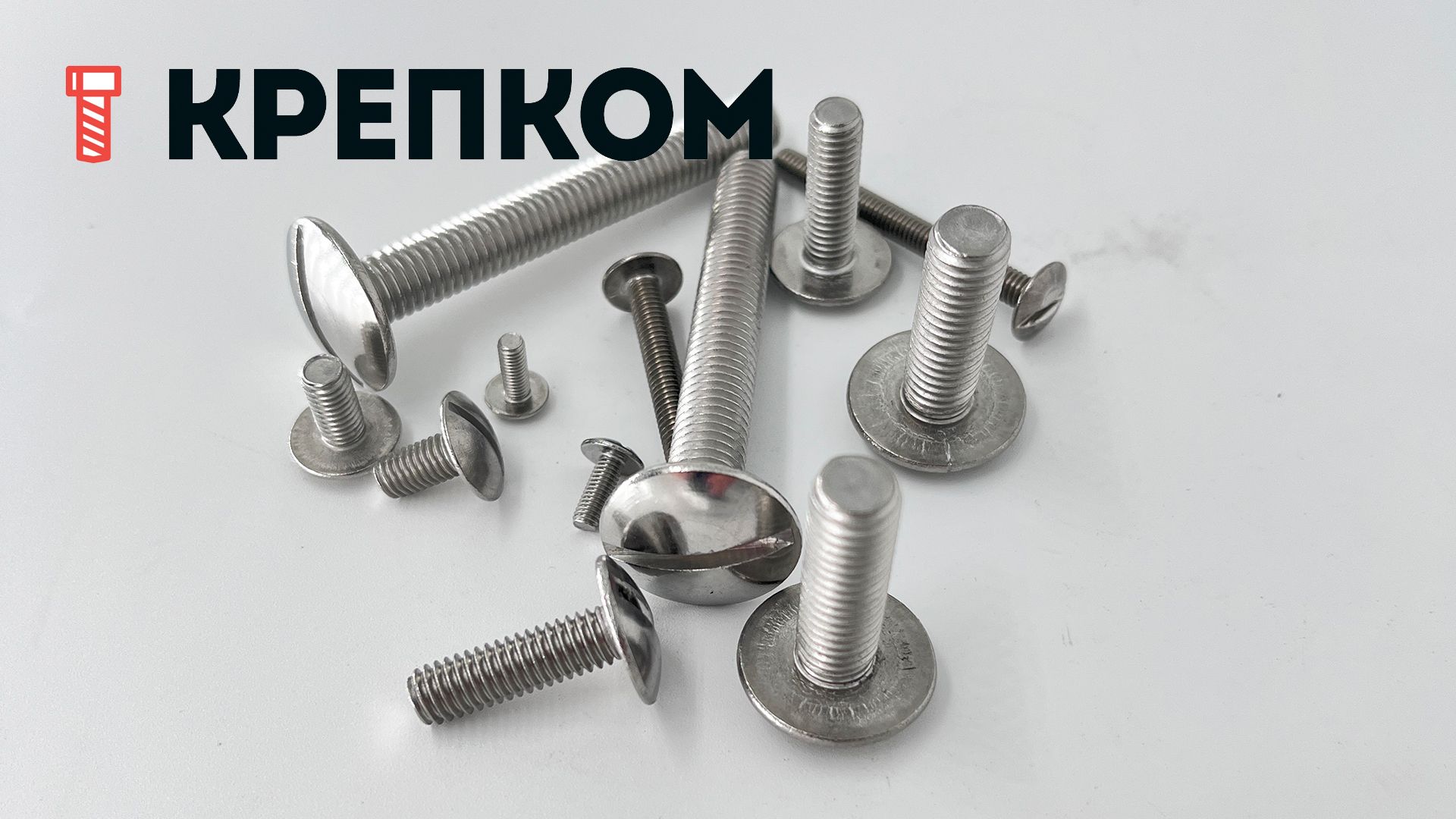 Винт с полукруглой головкой и прямым шлицем NF E 27-128 (art 9056), нержавеющая сталь А2 - фото