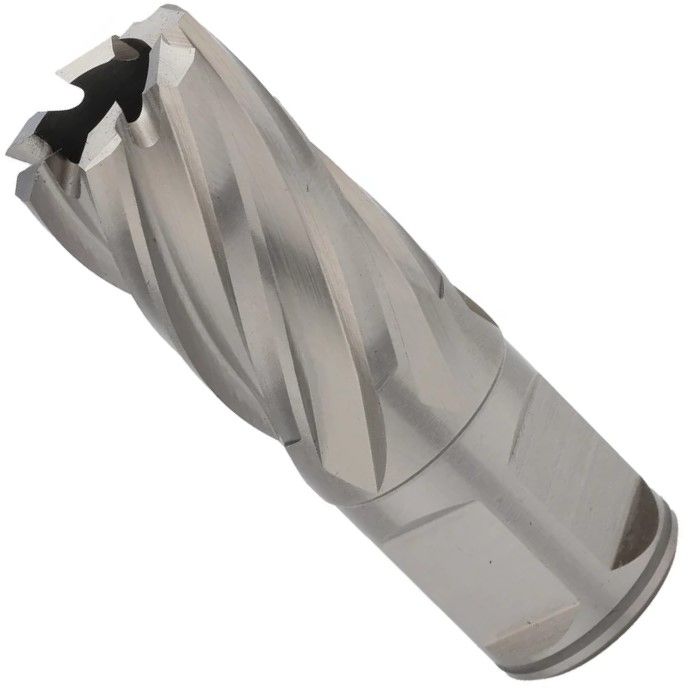 Сверло корончатое по металлу, глубина сверления 30 мм Weldon 19 HSS-G Terrax by Ruko  - фото