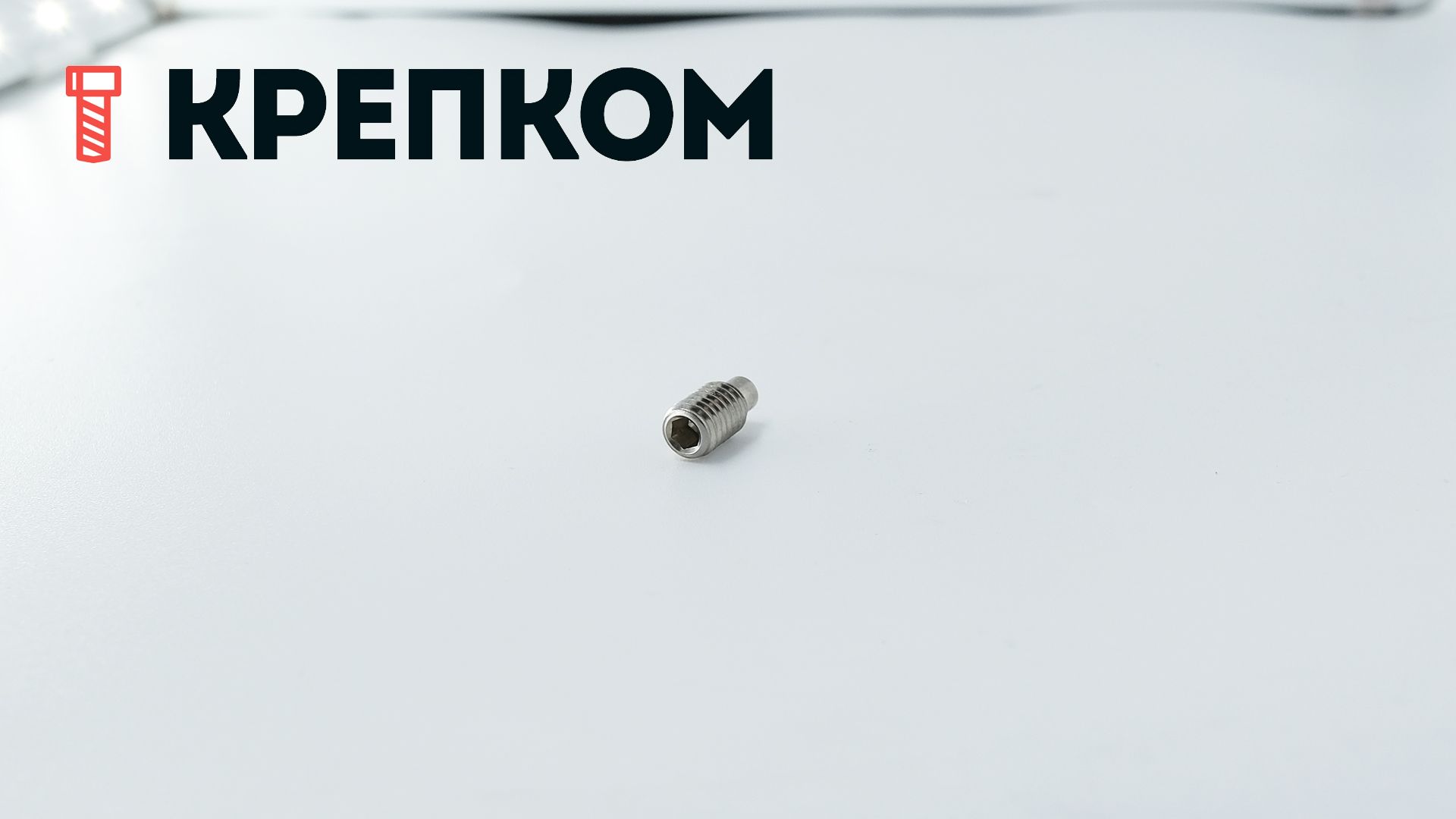 Винт установочный М6х12 DIN 915 (ISO 4028) с цапфой, нержавеющая сталь А4 - фото