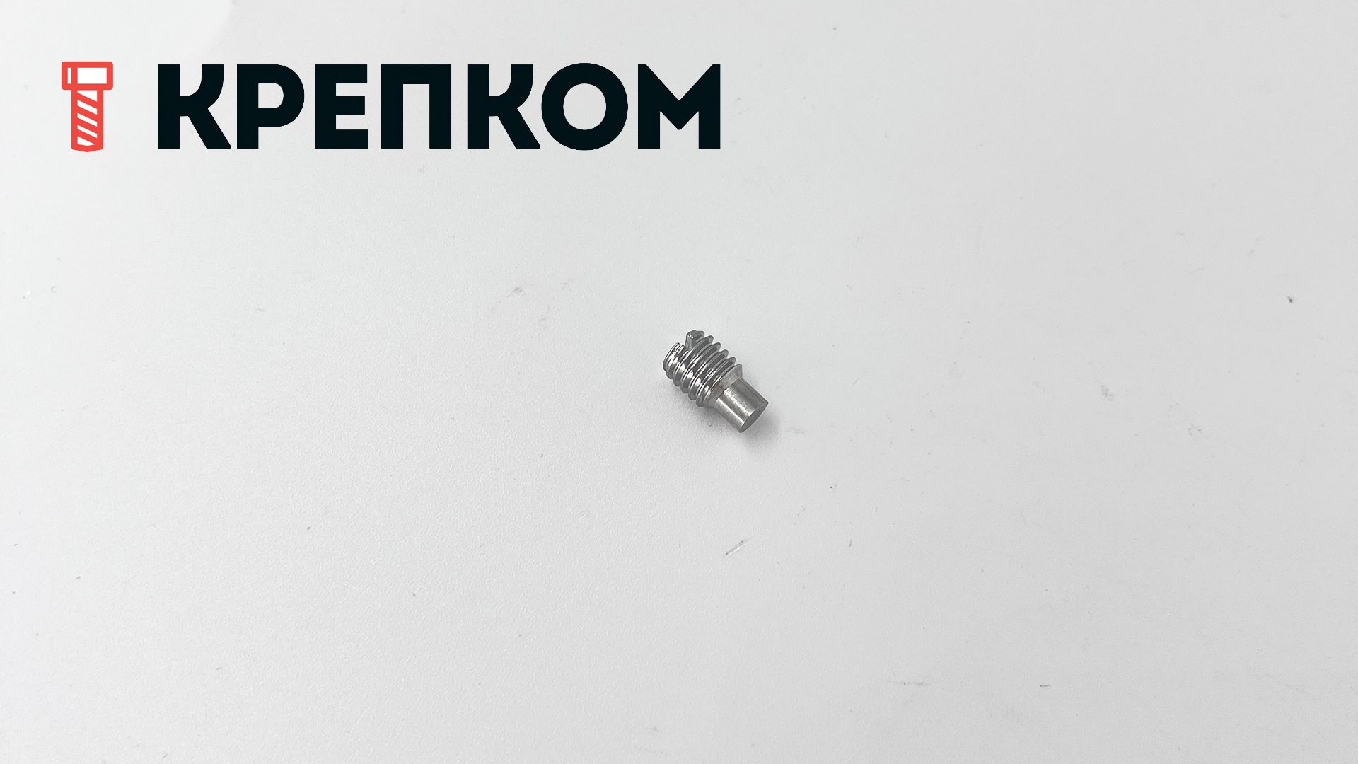 Винт установочный М12х20 DIN 417 с цапфой, нержавеющая сталь А2 - фото