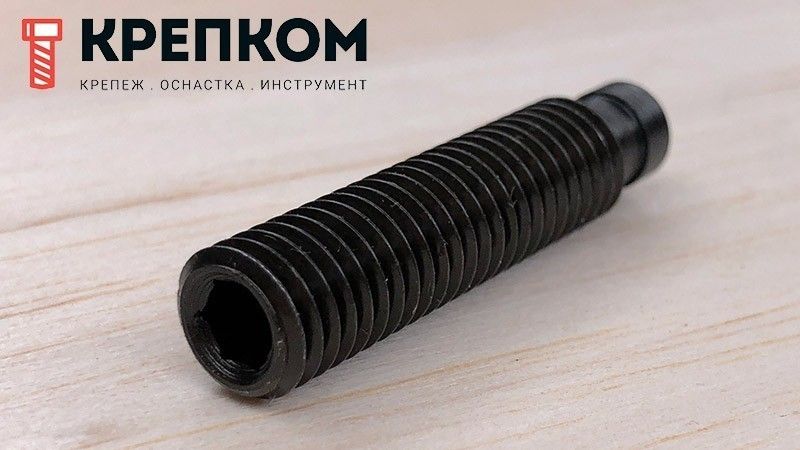 Шпилька-винт стопорная с упорной цапфой и внутренним шестигранником DIN 6332 IS, оксидированная - фото