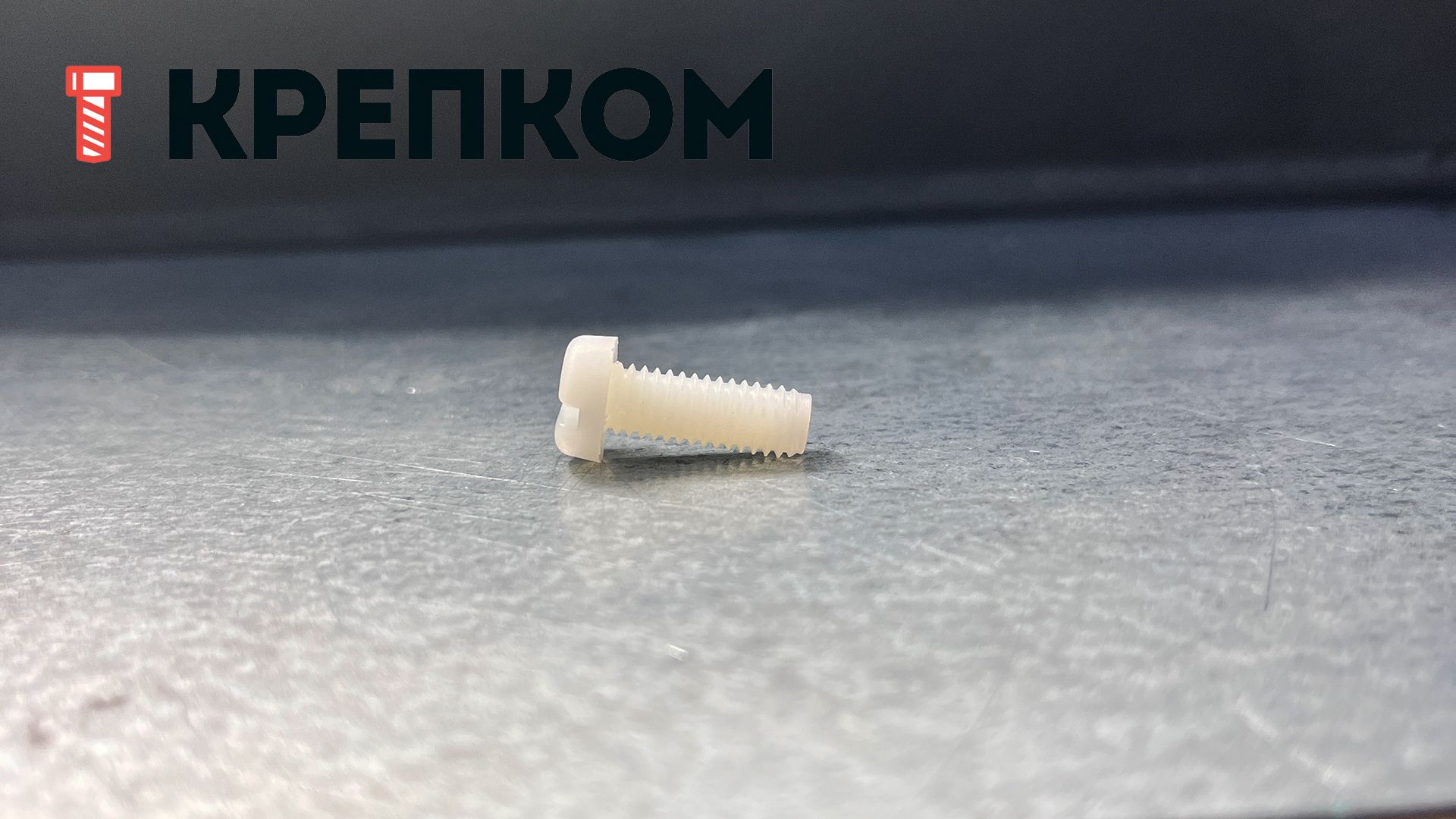 Винт с прямым шлицем М6х16 DIN 85, пластик - фото