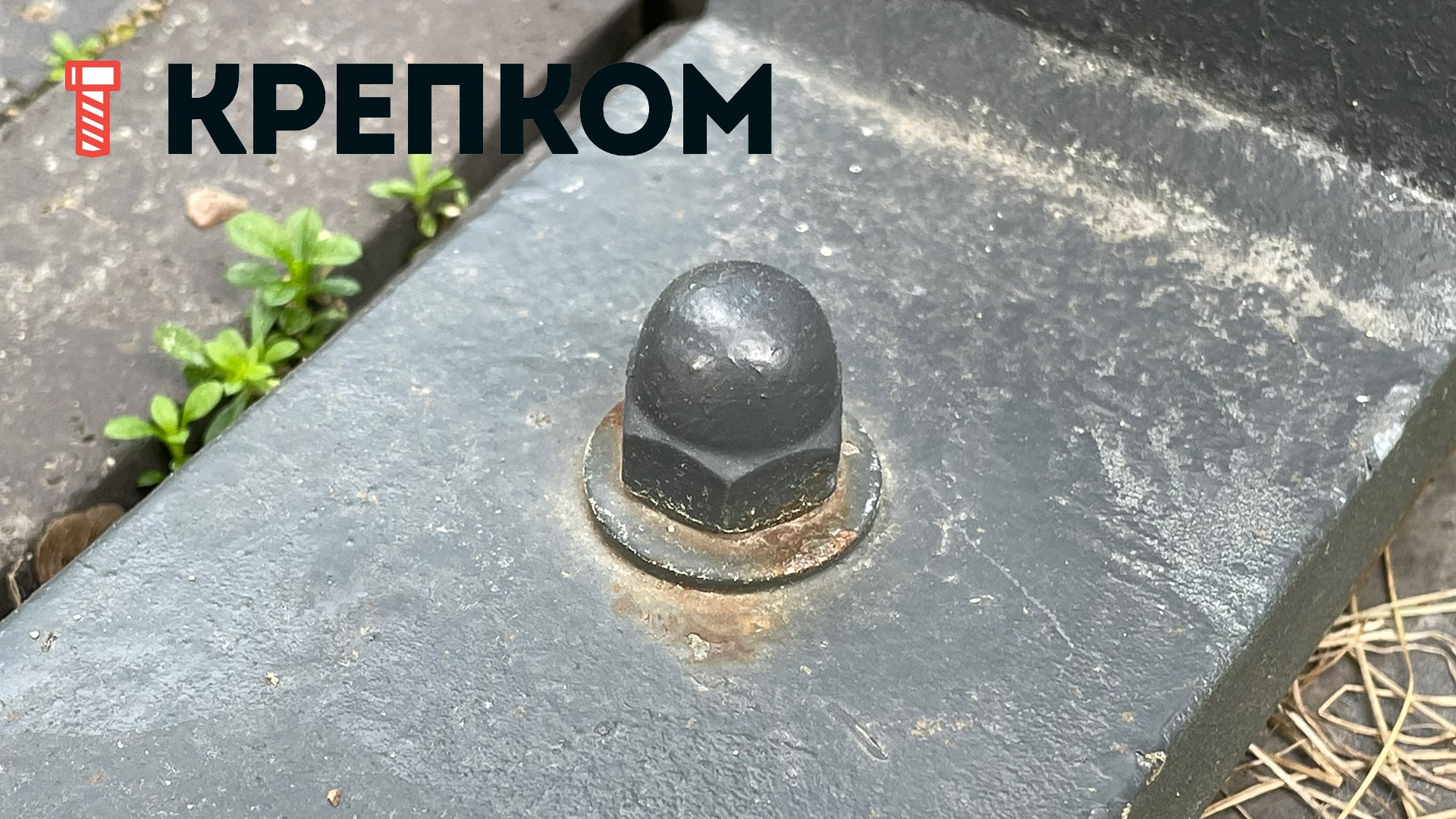 Гайка колпачковая DIN 1587, класс прочности 8, оцинкованная сталь - фото