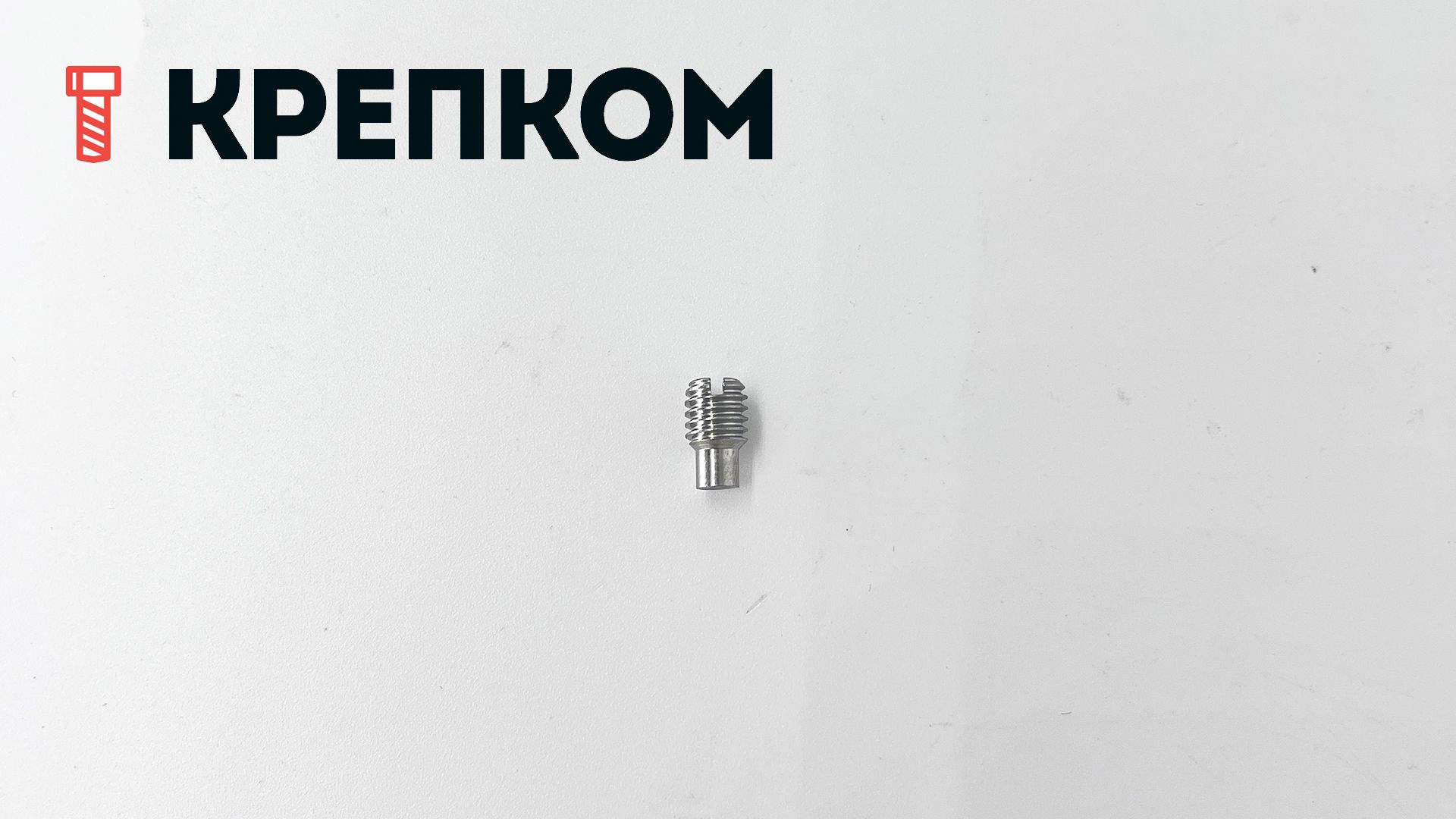 Винт установочный М12х20 DIN 417 с цапфой, нержавеющая сталь А2 - фото