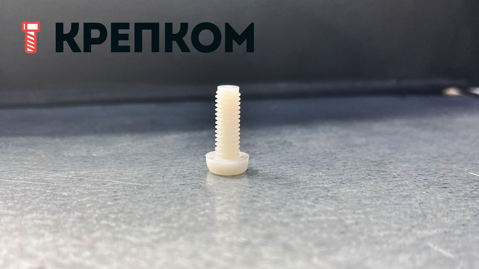 Винт с прямым шлицем М6х16 DIN 85, пластик - фото