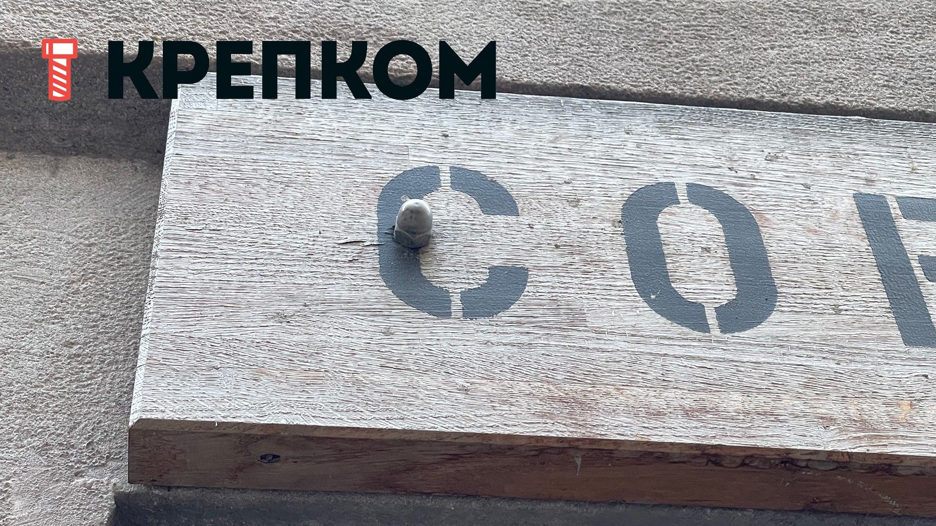 Гайка колпачковая с мелким шагом М16х1,5 DIN 1587, нержавеющая сталь А4-80 - фото