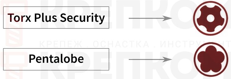 Шлиц Torx Plus Security и Pentalobe - изображение