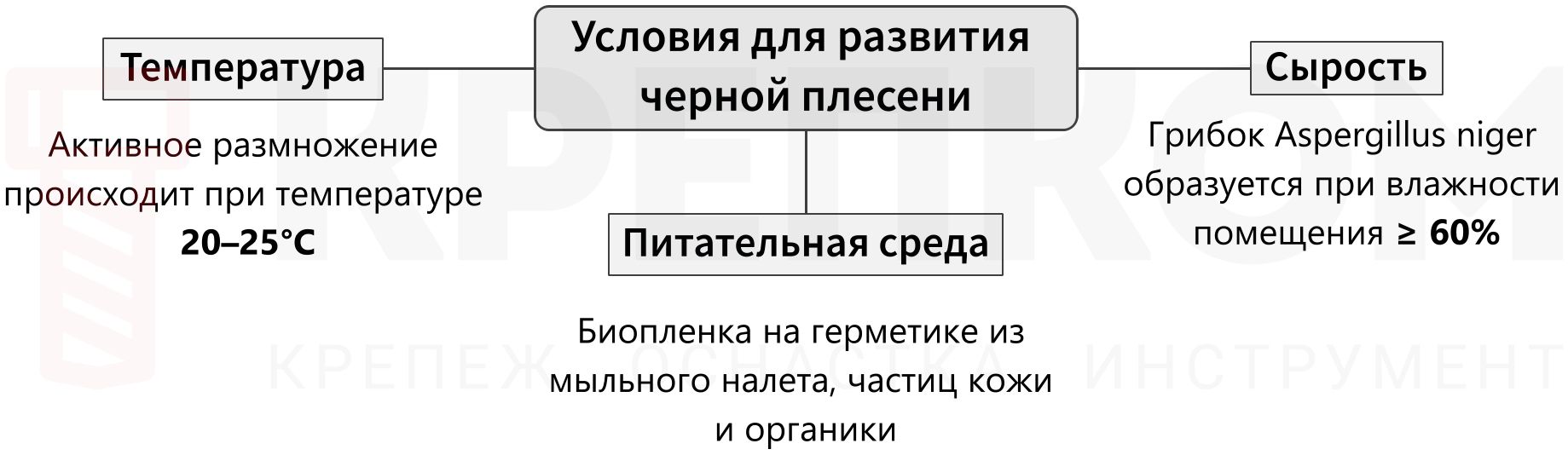 Основные причины появления черной плесени - изображение