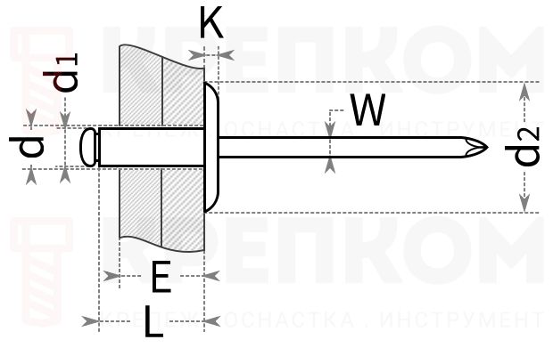 Заклепка с широким бортиком - схема, чертеж
