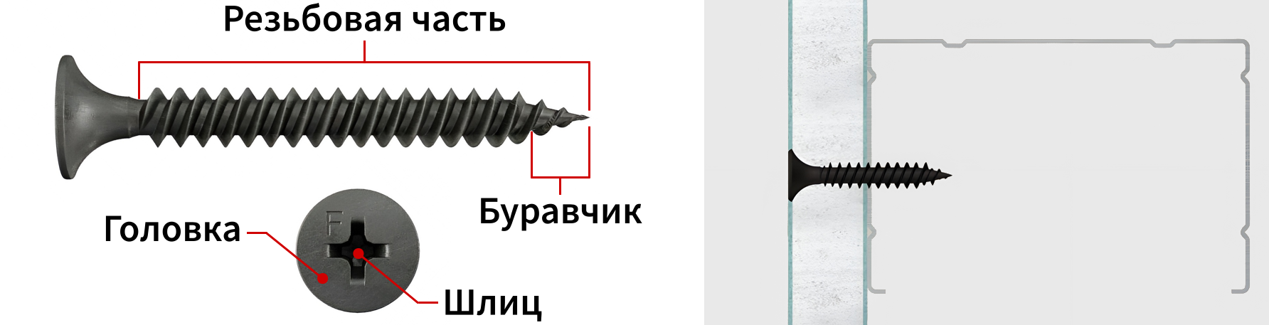 Конструкция самореза по металлу для гипсокартона Fischer FSN-TPD F - изображение