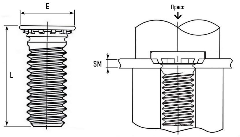 шпилька резьбовая запрессовочная оцинкованная схема