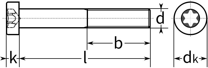 Винт с низкой цилиндрической головкой и шлицем Torx DIN 7984 - схема