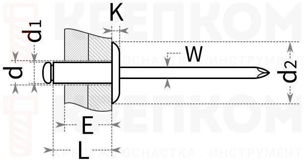 Заклепка со стандартным бортиком - схема, чертеж