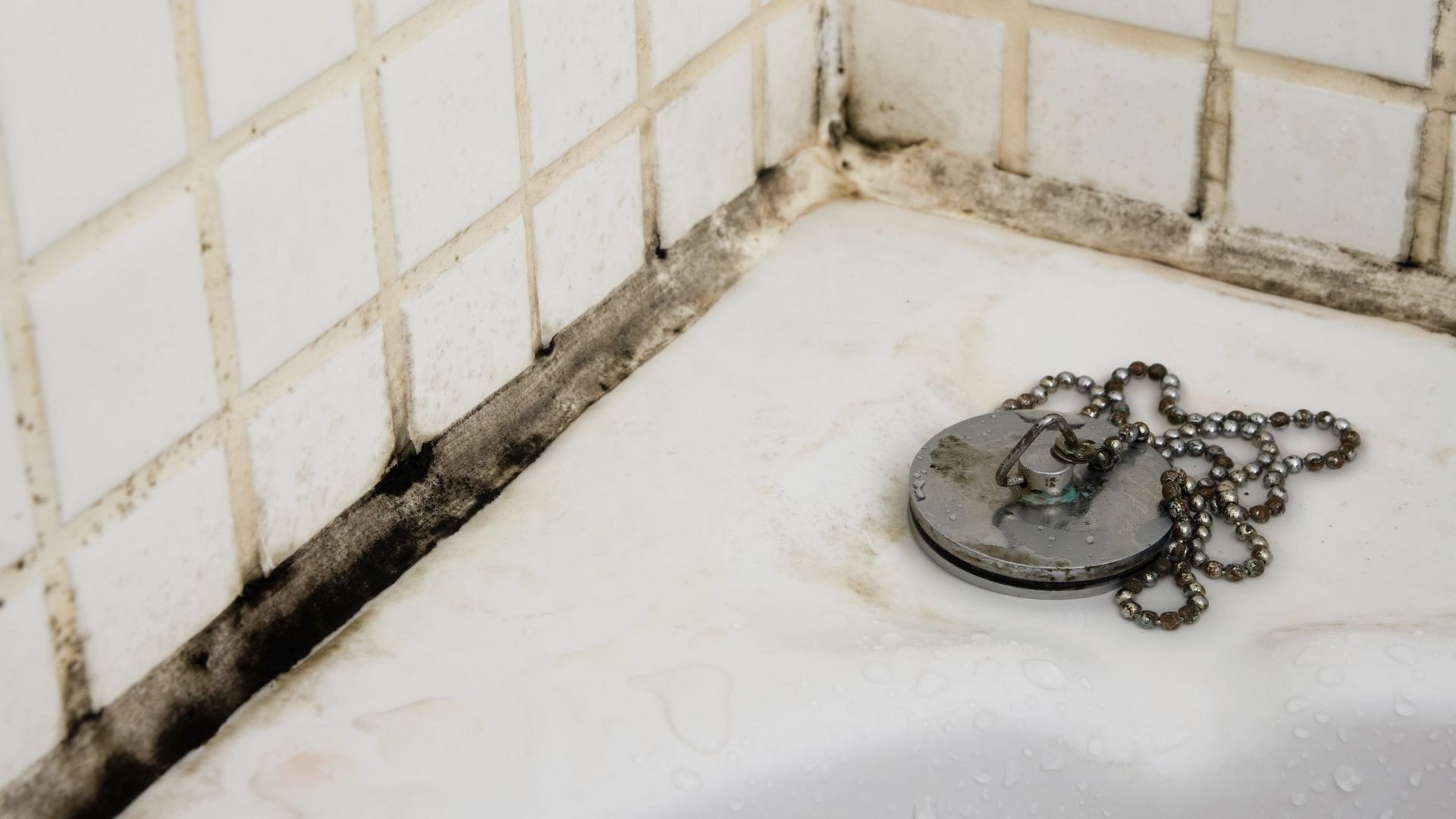 Черный грибок в ванной - изображение