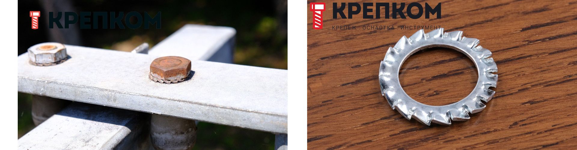 Шайба стопорная с насечками DIN 6798A, оцинкованная сталь - фото-коллаж