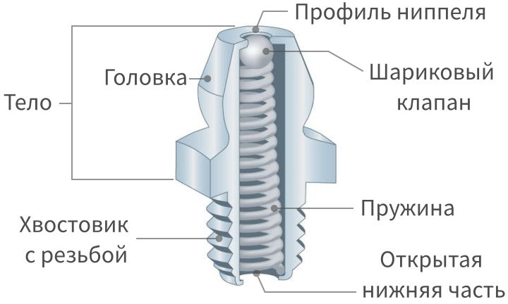 Конструкция пресс-масленки - изображение
