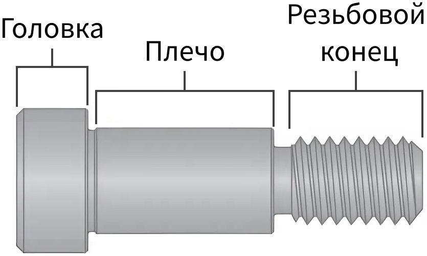 Конструкция плечевого болта - изображение