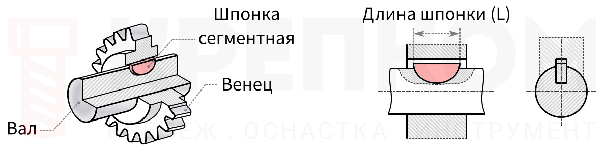 Шпонка сегментная полукруглая ГОСТ 24071-97 (DIN 6888) - схема, чертеж