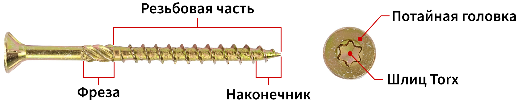 Строение конструкционного самореза по дереву - изображение