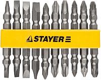 Набор бит двусторонних 65 мм E1/4" Stayer Master 2605-H10_z01, сталь Cr-V, 10 предметов