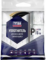 Уплотнитель самоклеящийся для окон и дверей 9х5,5 мм, 6 м P-профиль TYTAN Professional 19880, черный
