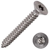 Саморез с потайной головкой TORX-Pin 6,3х50 DIN 7982 (ISO 14586), нержавеющая сталь А2, 100 шт