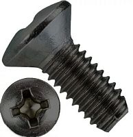 Винт М8х1,25х20 мм с полупотайной головкой SN-10018