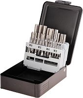 Изображение товара Набор метчиков M3-M12 HSS-G Terrax by Ruko 21 предметов