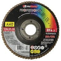 Круг лепестковый торцевой Луга А40 125х1,6х22